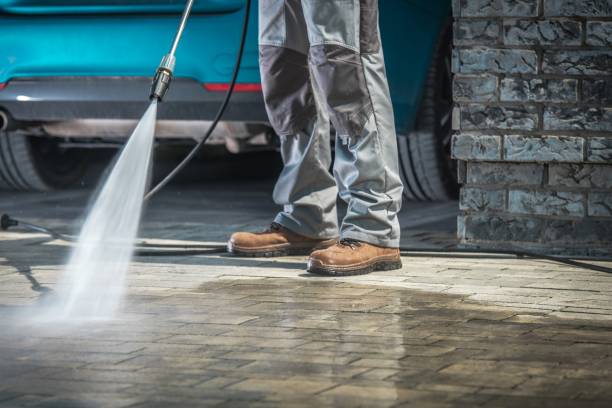Best Roof Cleaning and Mildew Removal in Powderly, TX