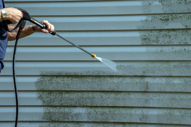 Best Window and Screen Pressure Cleaning in Powderly, TX